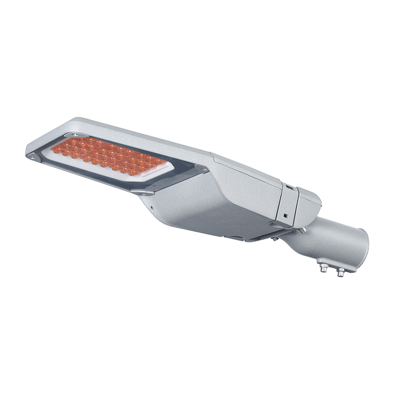 PY-LED666-60W 옥외 방수 가로등
