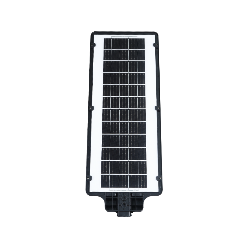 PY-LEDSL02-100W 통합형 태양광 가로등 PY-LEDSL02-100W 통합형 태양광 가로등