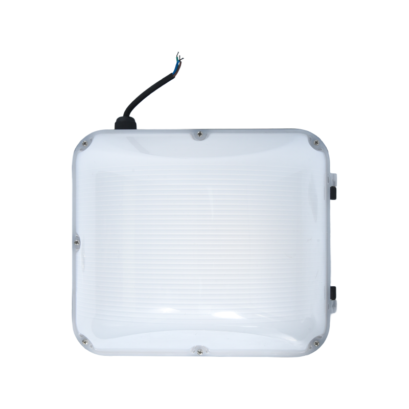 PY-LED9010 야외 환경 친화적인 벽 팩 조명